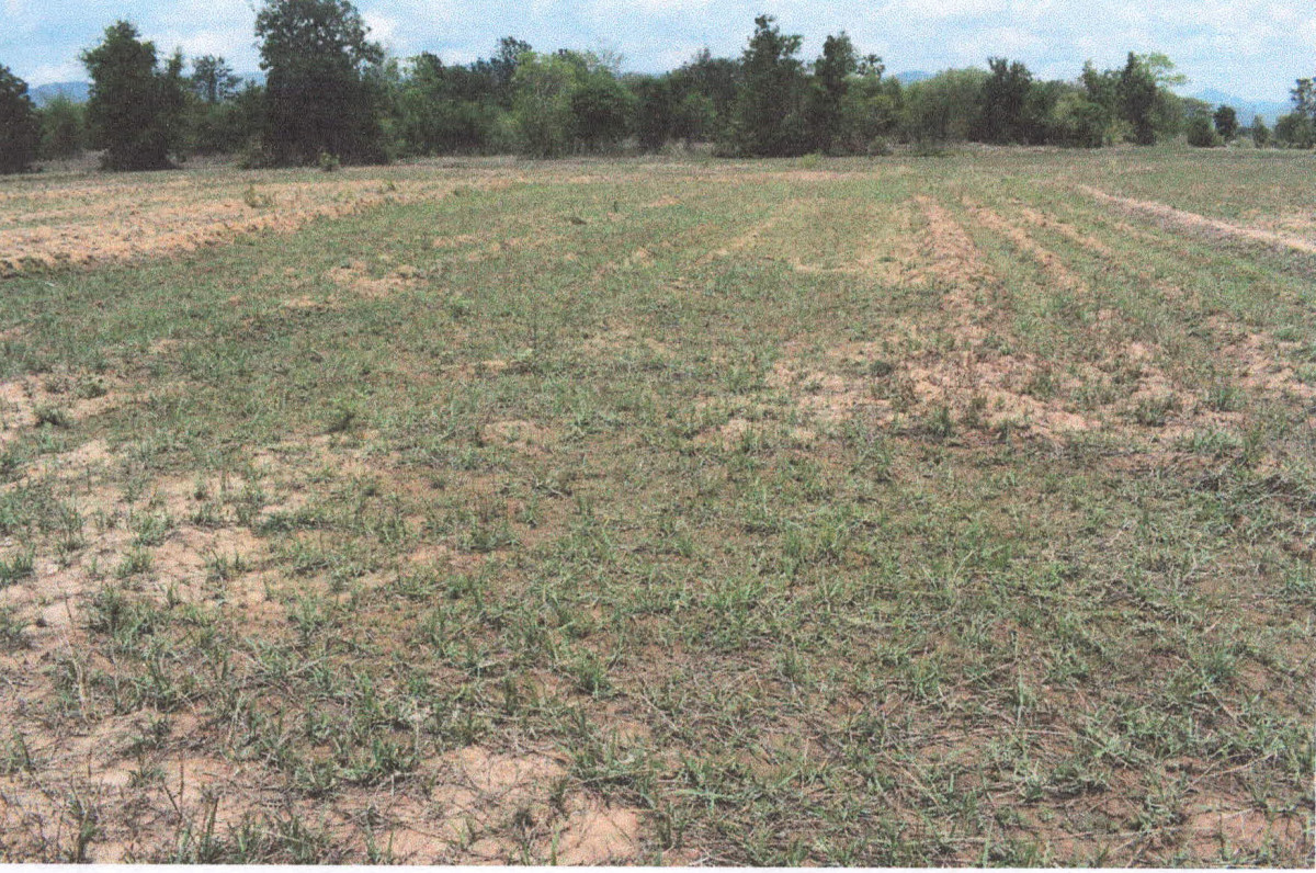 Residential land/lot Lampang Mae Phrik Mae Pu 116900