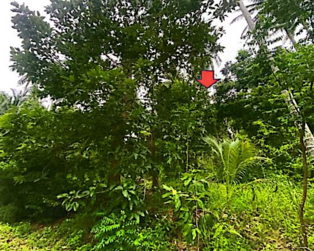 Residential land/lot Nakhon Si Thammarat Sichon Thung Sai 2832000