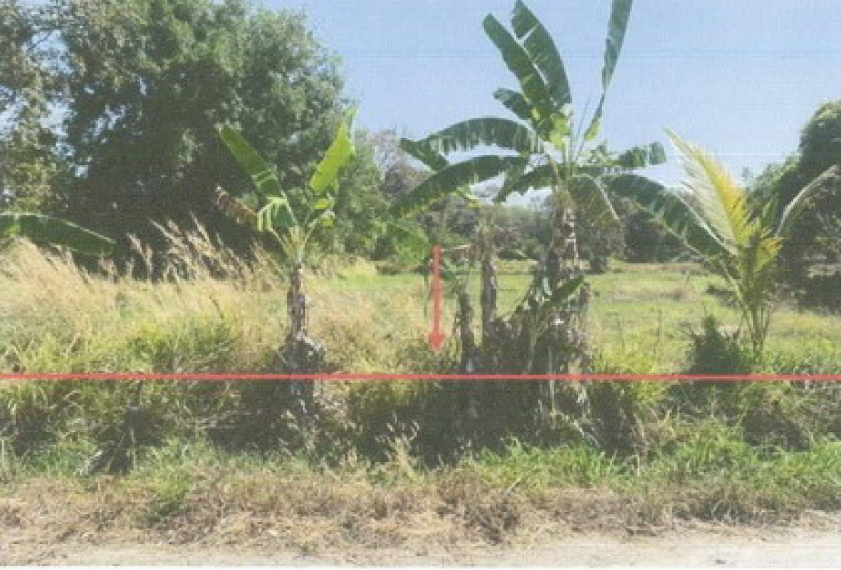 Residential land/lot Kalasin Mueang Kalasin Huai Pho 2000000