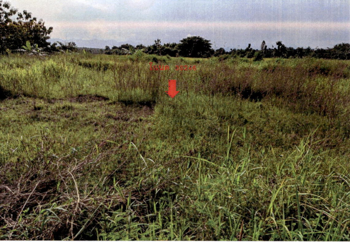 Residential land/lot Lampang Mueang Lampang Thung Fai 44000