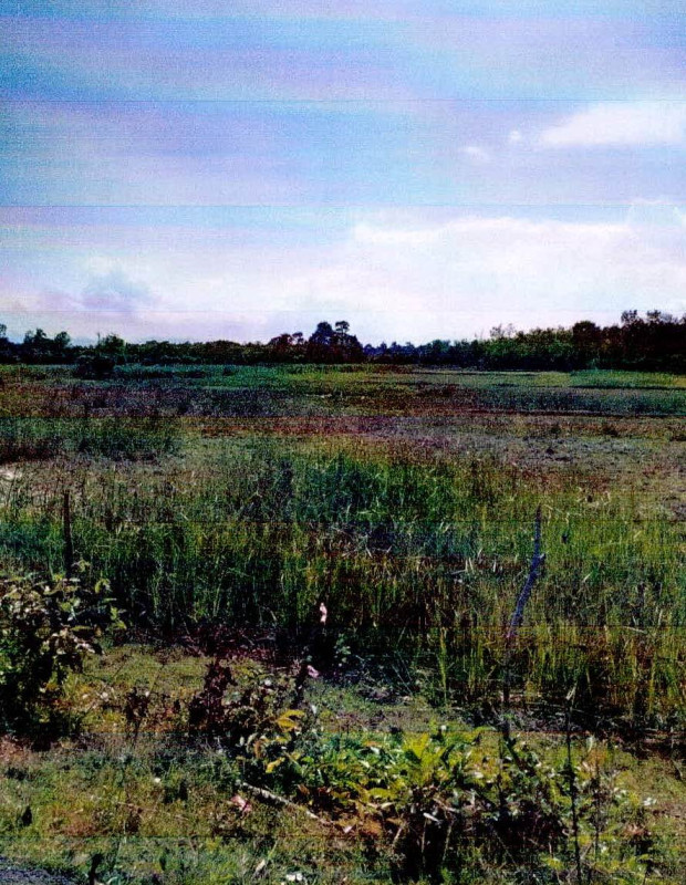 Residential land/lot Pattani Thung Yang Daeng Nam Dam 31050