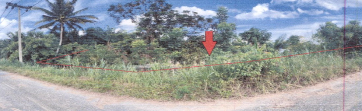 Residential land/lot Surat Thani Kanchanadit Thung Kong 433920