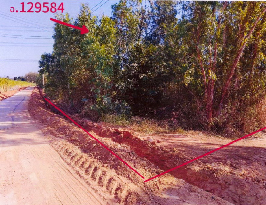 Residential land/lot Chaiyaphum Mueang Chaiyaphum Na Siao 186490