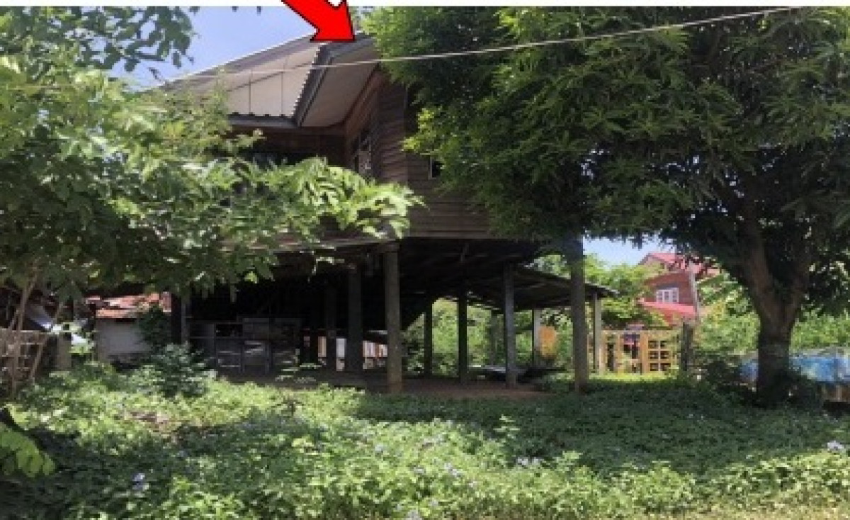 บ้านเดี่ยว กาฬสินธุ์ กมลาไสย ธัญญา 245000