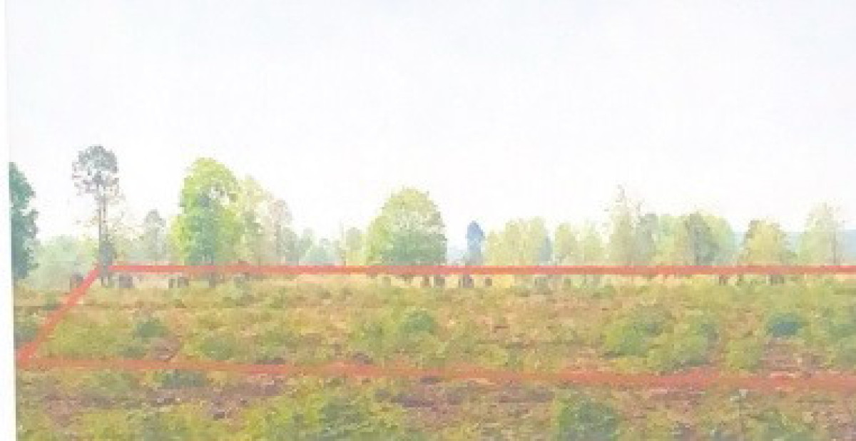 Residential land/lot Kalasin Nong Kung Si Nong Hin 1184000