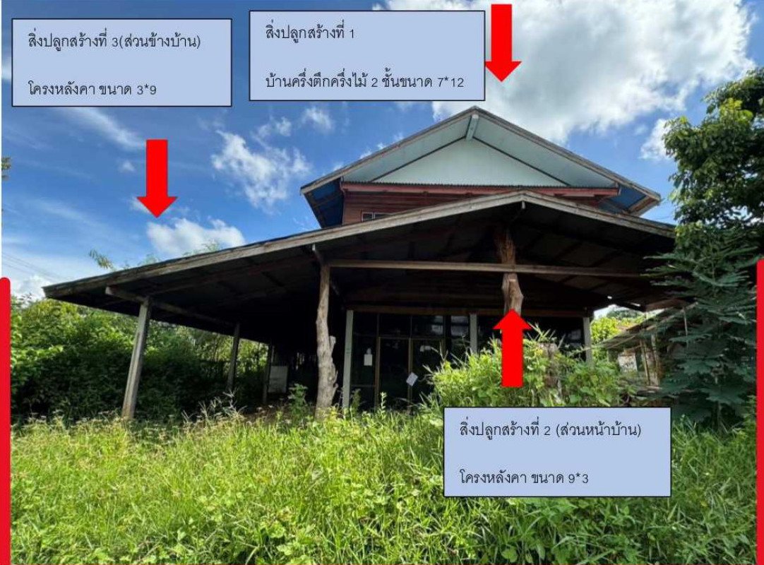 บ้านเดี่ยว หนองบัวลำภู ศรีบุญเรือง โนนสะอาด 449160