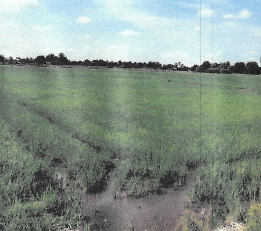 Residential land/lot Chai Nat Hankha Den Yai 961840