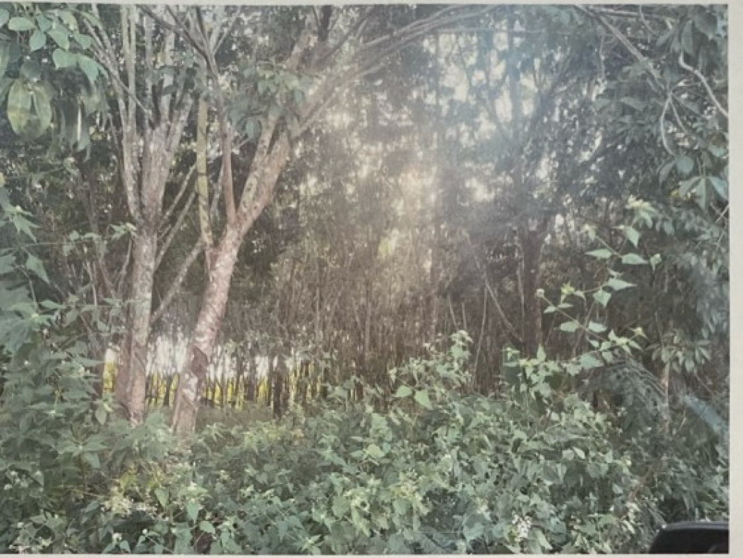 Residential land/lot Sakon Nakhon Sawang Daen Din Sawang Daen Din 362384