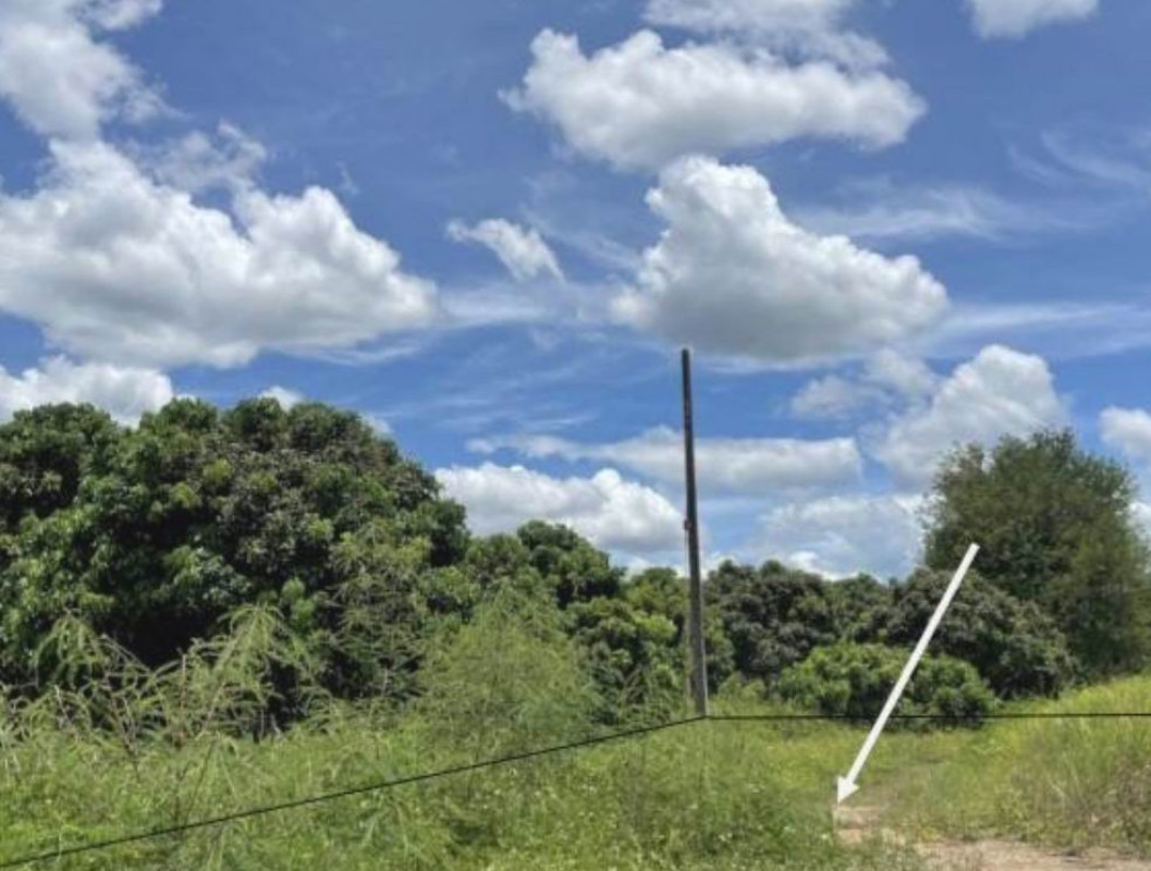 Residential land/lot Chiang Mai Mae Taeng Inthakhin 289250