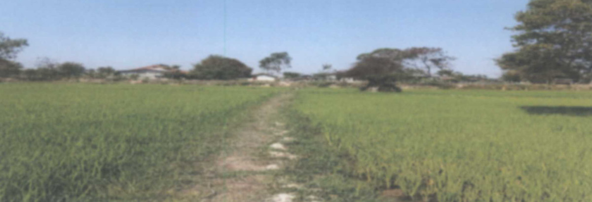 Residential land/lot Nakhon Phanom That Phanom Kut Chim 128275