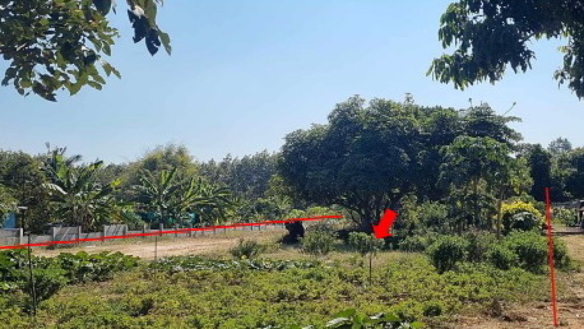 Residential land/lot Kalasin Kham Muang Thung Khlong 960000