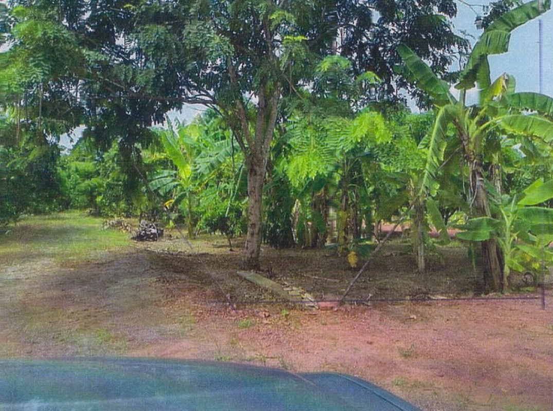 Residential land/lot Samut Songkhram Amphawa Mueang Mai 205520