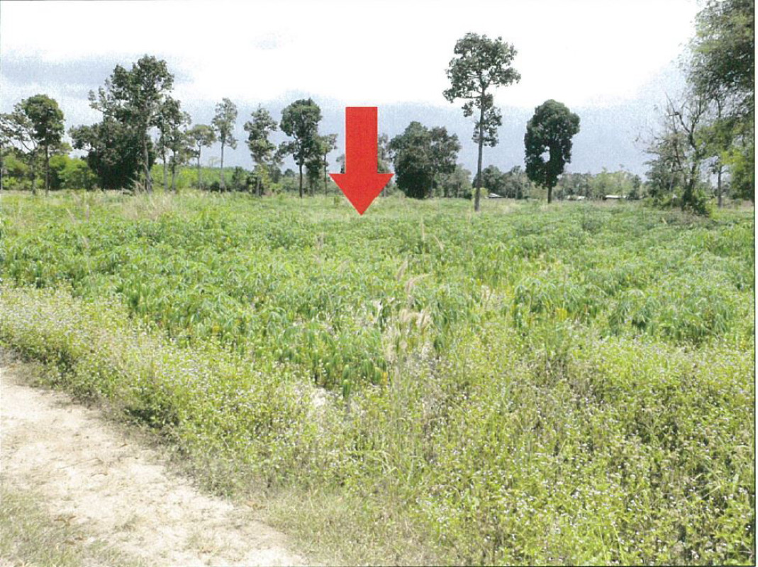 ที่ดินเปล่า อุบลราชธานี บุณฑริก ห้วยข่า 297440
