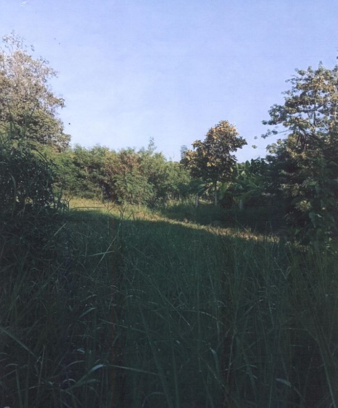 Residential land/lot Khon Kaen Chonnabot Ban Thaen 185640