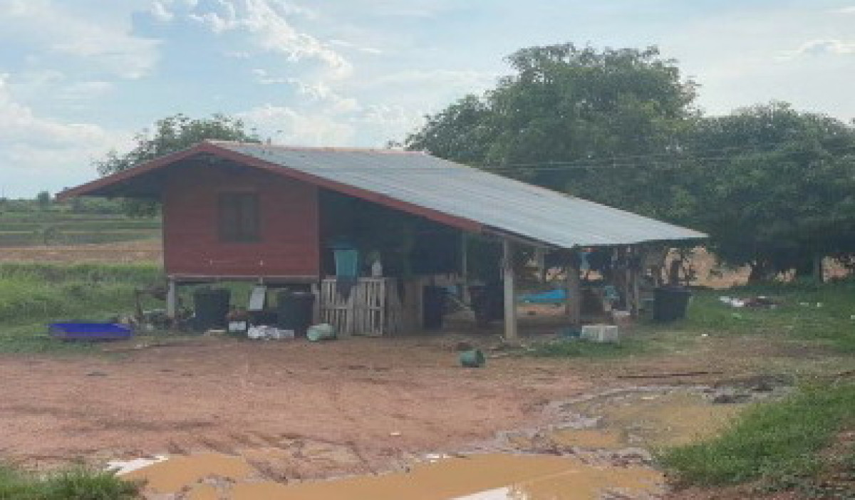 บ้านเดี่ยว กาฬสินธุ์ ยางตลาด นาเชือก 670000