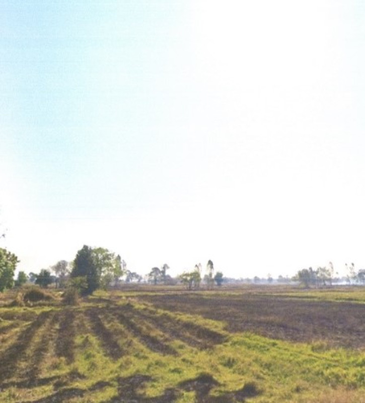 Residential land/lot Kalasin Yang Talat Nong I Thao 280000