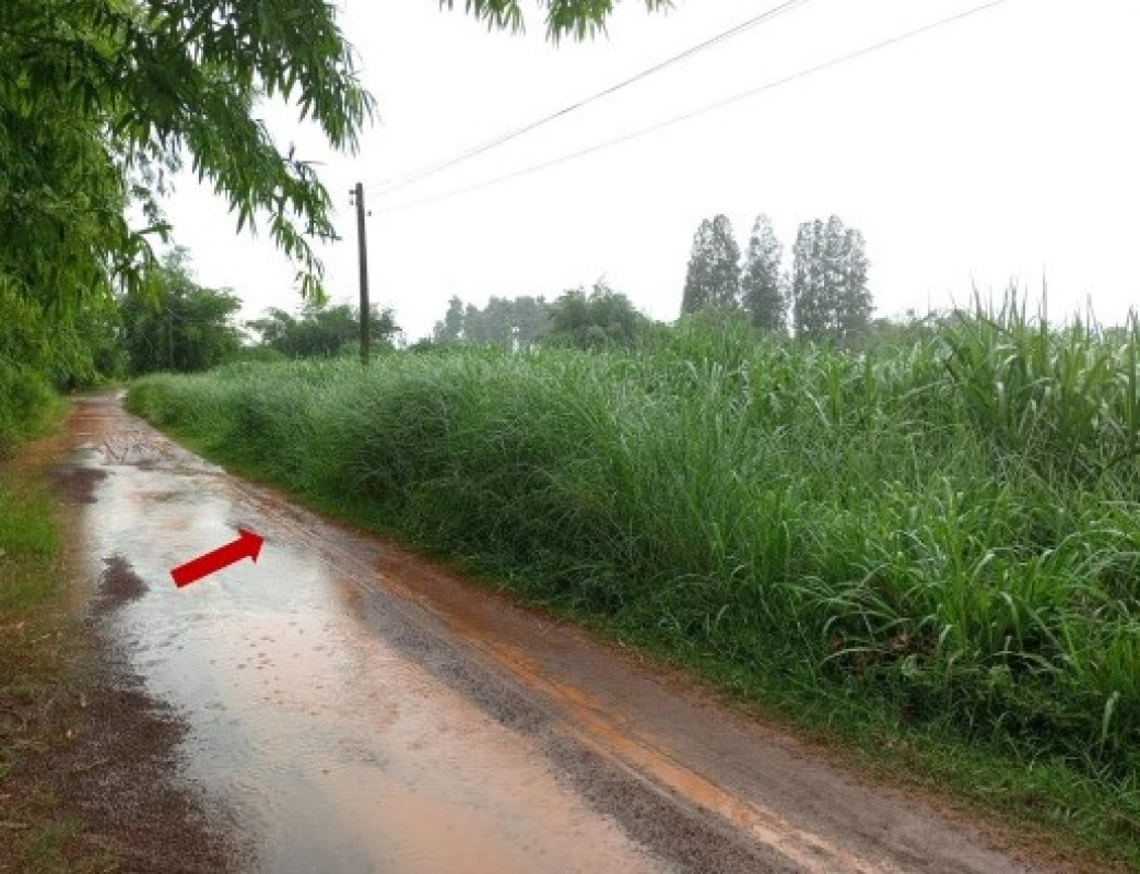 ที่ดินเปล่า กาฬสินธุ์ หนองกุงศรี หนองสรวง 305000