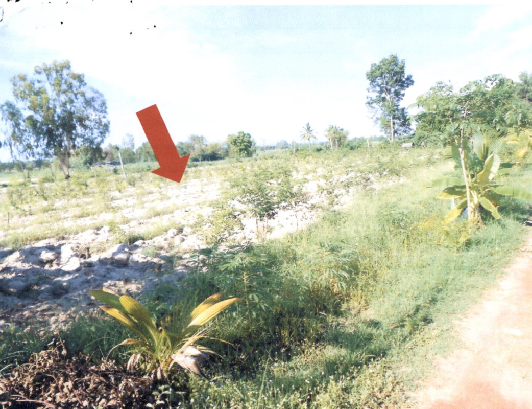 ที่ดินเปล่า กาฬสินธุ์ สมเด็จ หนองแวง 96000
