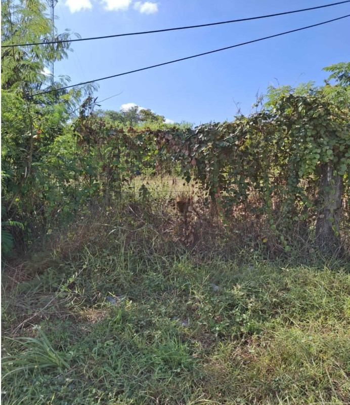 Residential land/lot Nong Bua Lam Phu Mueang Nong Bua Lam Phu Ban Phrao 291000