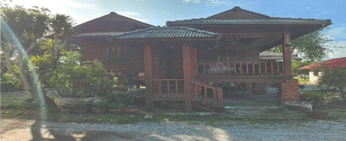 บ้านเดี่ยว สุราษฎร์ธานี ไชยา ตะกรบ 1889608