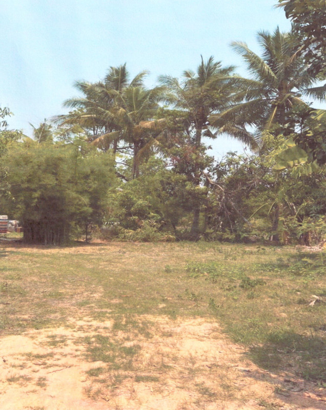 Residential land/lot Maha Sarakham Borabue Nong Sim 481200