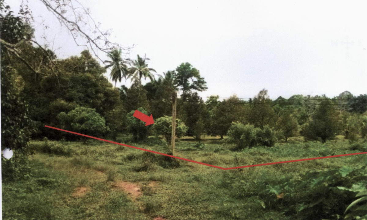 Residential land/lot Chumphon Thung Tako Pak Tako 488880