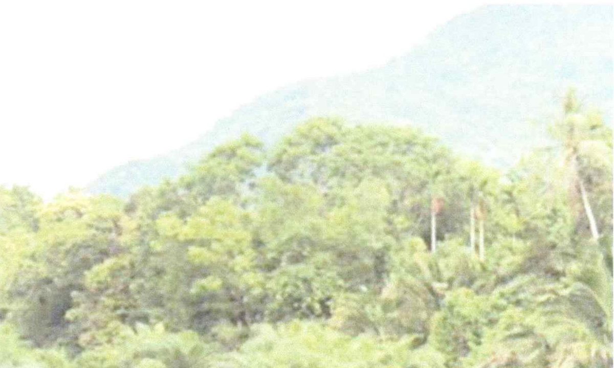 Residential land/lot Pattani Kapho Talo Due Raman 163680