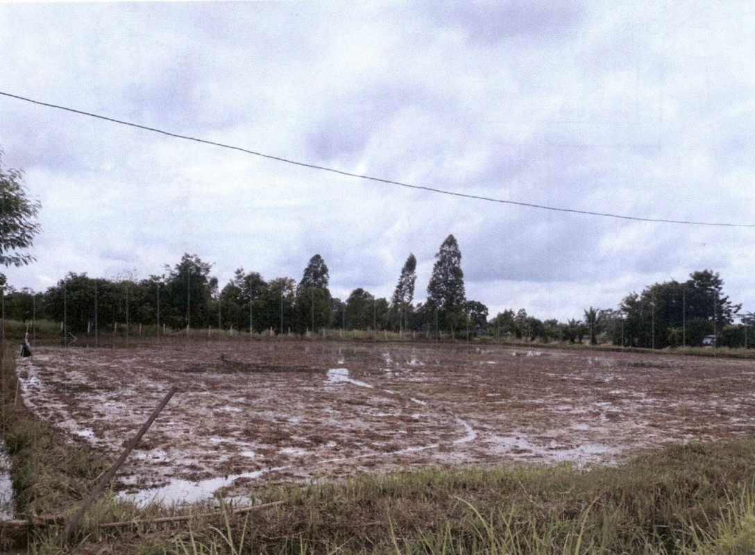 Residential land/lot Kalasin Mueang Kalasin Lamphan 526500