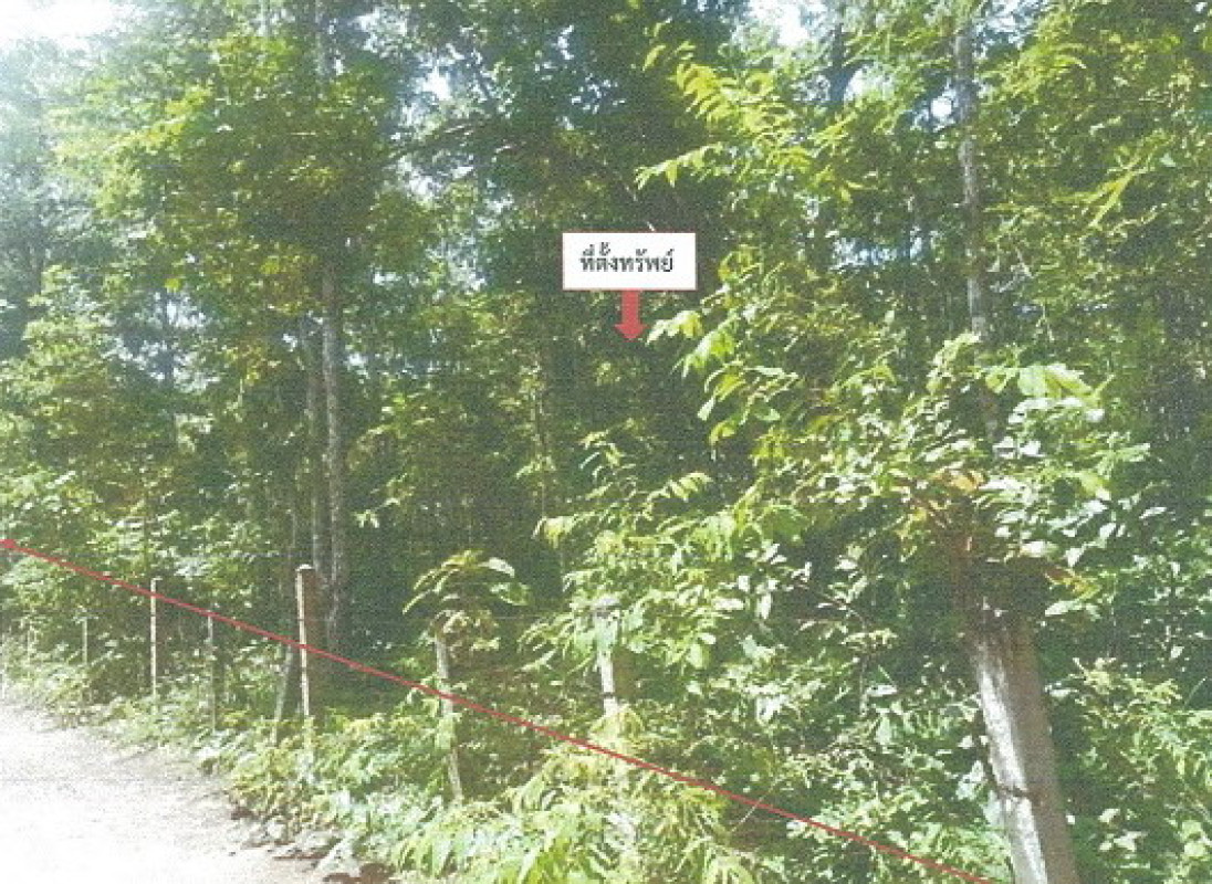 ที่ดินเปล่า สกลนคร อากาศอำนวย โพนแพง 476060