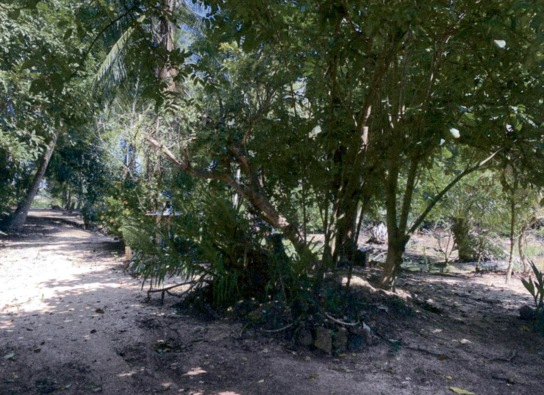 Residential land/lot Prachuap Khiri Khan Pran Buri Nong Ta Taem 738584