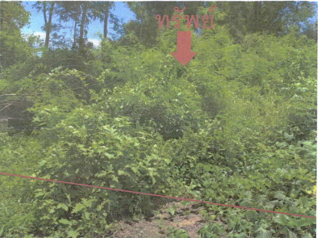 Residential land/lot Lampang Soem Ngam Soem Sai 44820