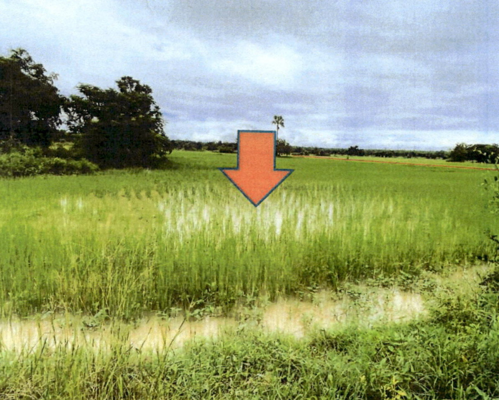 Residential land/lot Lampang Ko Kha Na Kaeo 751200