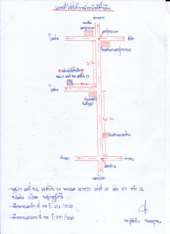 บ้านเดี่ยว สุราษฎร์ธานี ไชยา โมถ่าย 775296