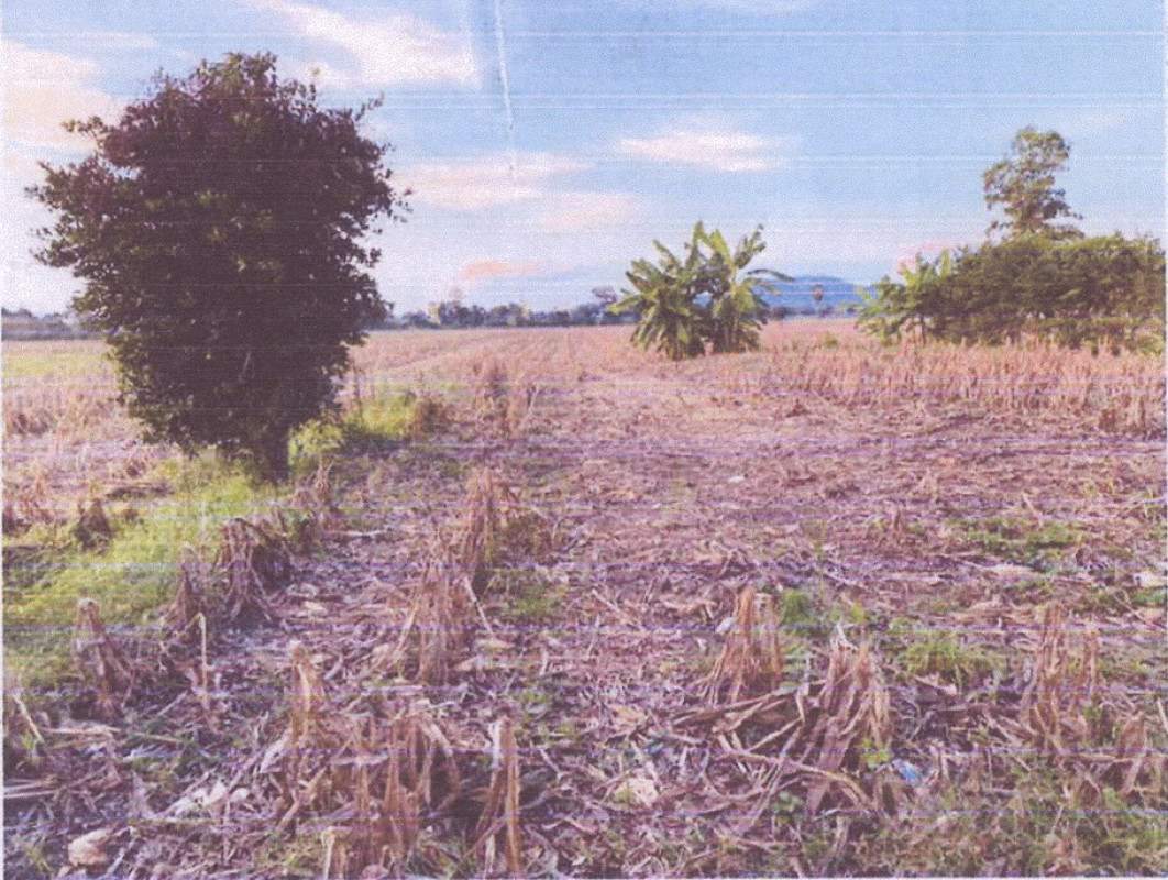 Residential land/lot Loburi Tha Wung Bang Nga 15000