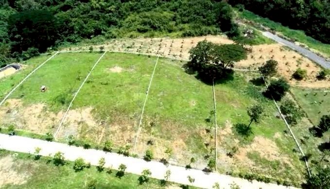 ที่ดินเปล่า กระท่อมปัญปัน สระบุรี มวกเหล็ก มิตรภาพ 6500000