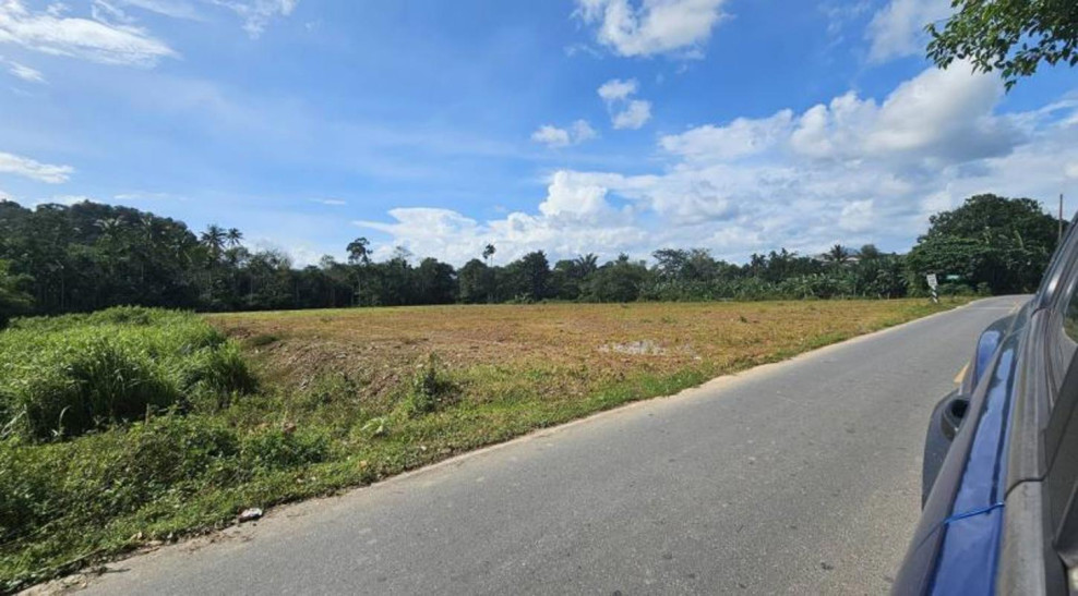 ที่ดินเปล่า ที่ดิน นครศรีธรรมราช นครศรีธรรมราช ทุ่งสง ปากแพรก 17500000