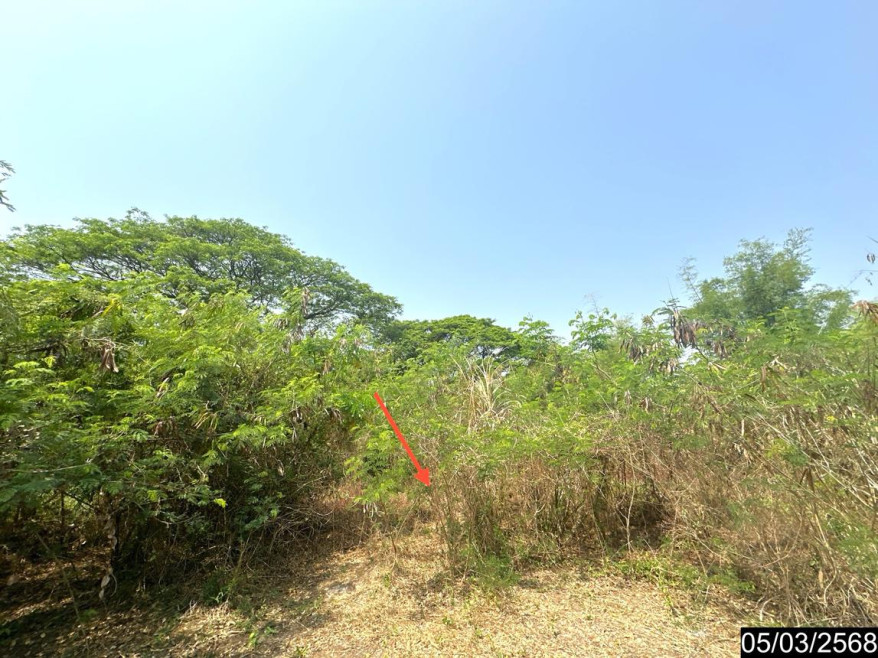 ที่ดินเปล่า ที่ดิน ศรีสะเกษ ศรีสะเกษ ขุขันธ์ ห้วยเหนือ 1835000