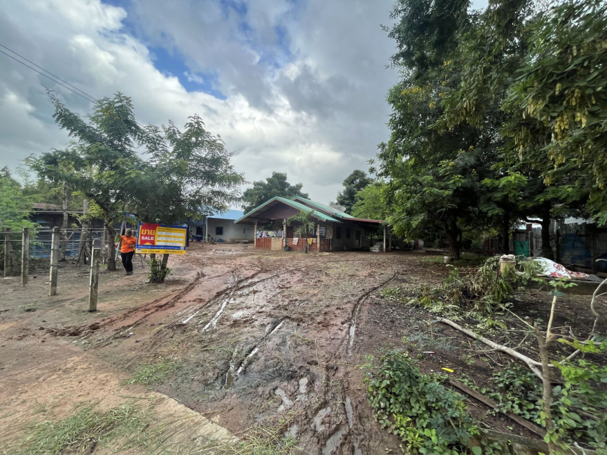 บ้านเดี่ยว บ้านเดี่ยว นครราชสีมา นครราชสีมา โนนสูง หลุมข้าว 689000
