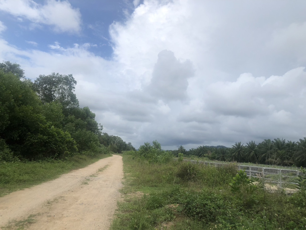 ที่ดินเปล่า พังงา ตะกั่วป่า บางม่วง 9000000