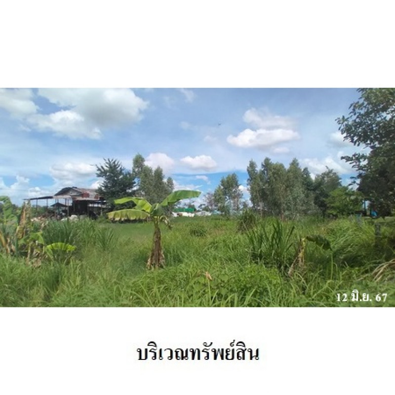 ที่ดินเปล่า อุบลราชธานี เดชอุดม นากระแซง 1030000