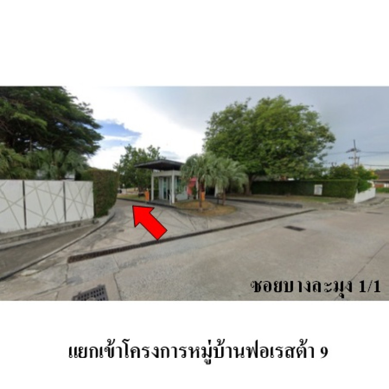 บ้านแฝด ฟอเรสต้า 9 ชลบุรี บางละมุง บางละมุง 3428000