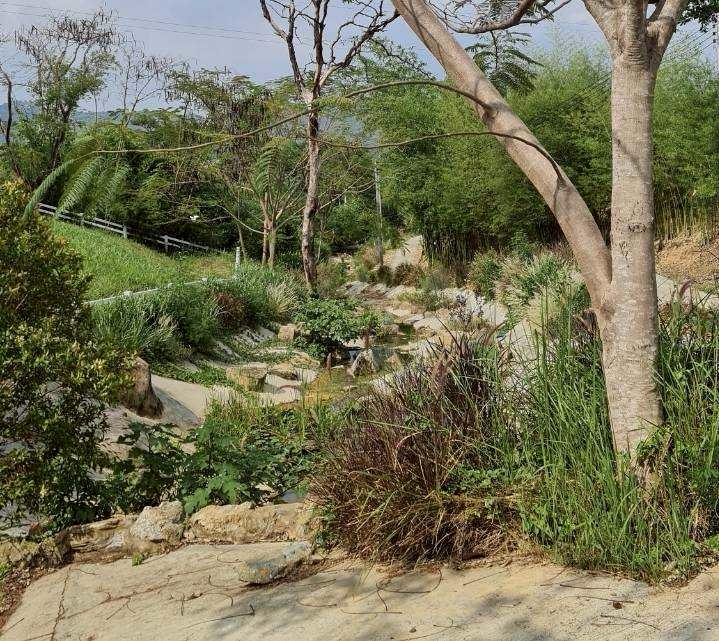 ที่ดินเปล่า สระบุรี มวกเหล็ก มิตรภาพ 6500000