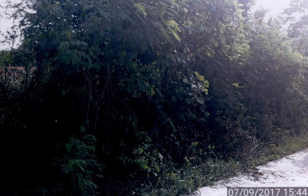 Residential land/lot Nakhon Si Thammarat Hua Sai Ko Phet 173790