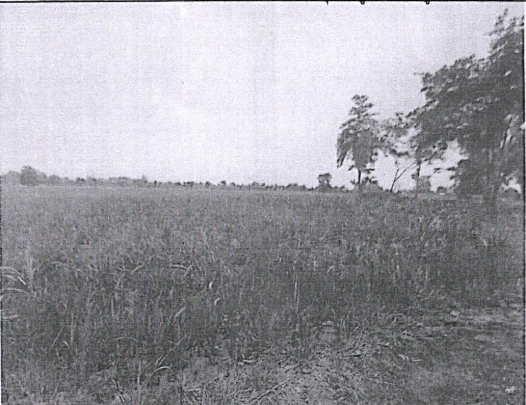 Residential land/lot Khon Kaen Phu Wiang Wa Thong 139840