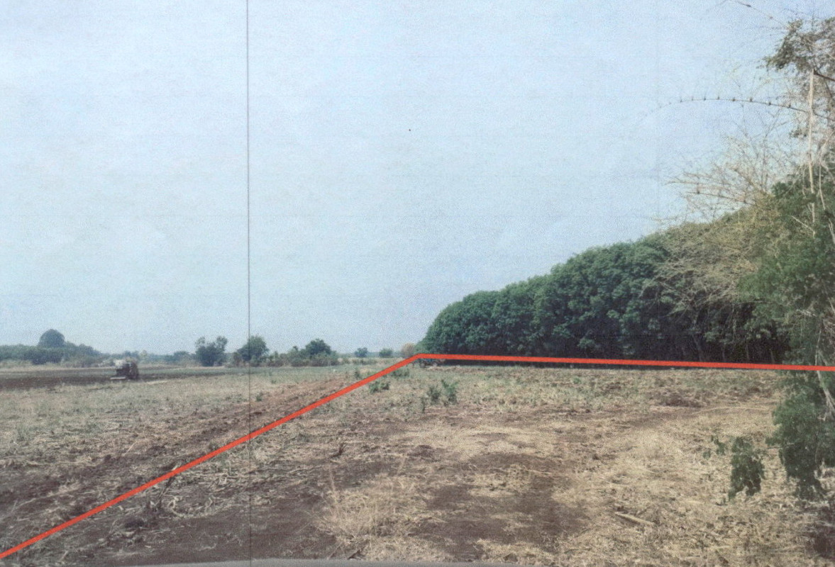 Residential land/lot Loei Erawan Erawan 127660