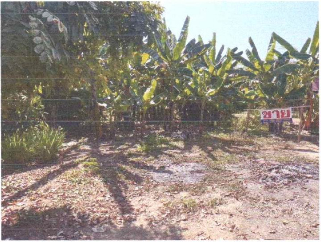 Residential land/lot Sukhothai Si Samrong Ban Rai 20280
