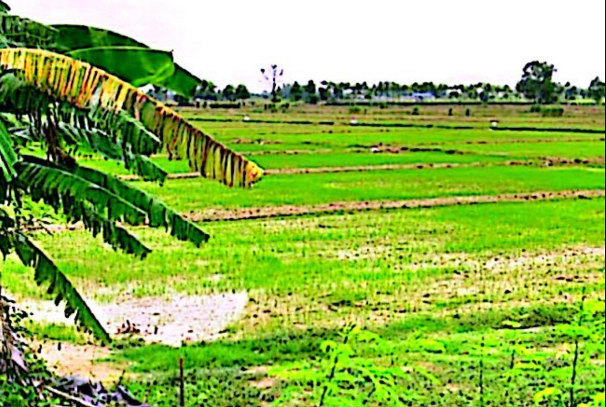Residential land/lot Sukhothai Si Samrong Wang Yai 341380