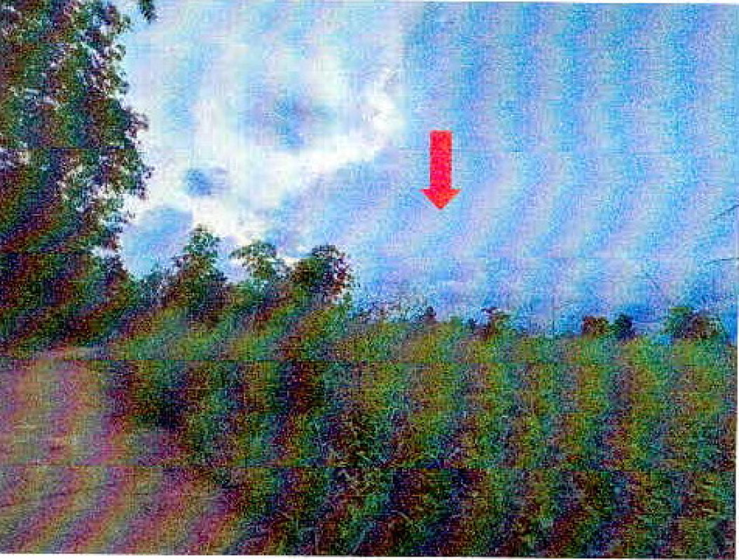 Residential land/lot Loei Pha Khao Tha Chang Khlong 100000