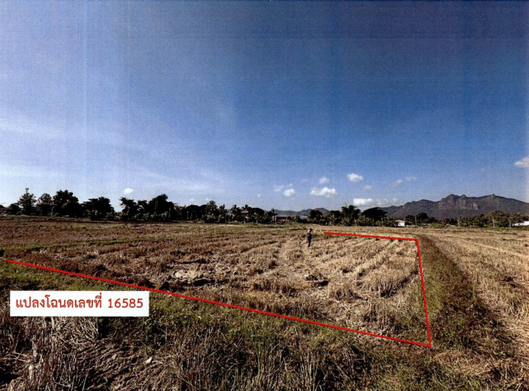 Residential land/lot Lampang Chae Hom Chae Hom 198750
