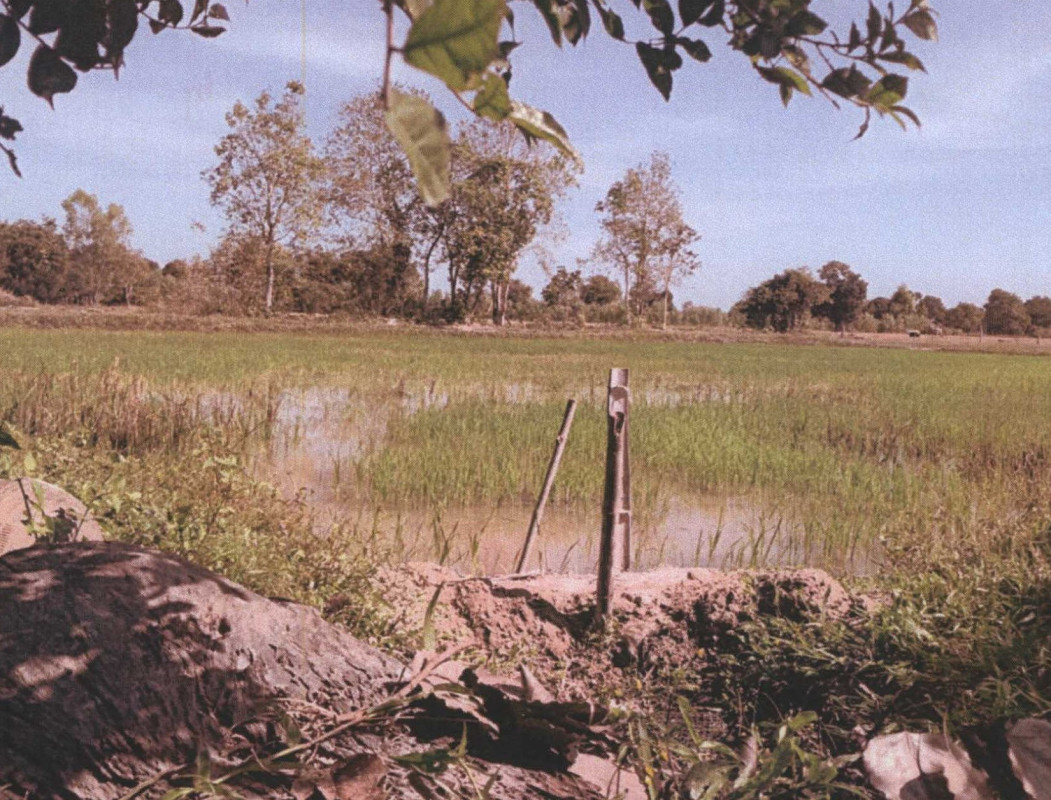Residential land/lot Nakhon Phanom Renu Nakhon Phon Thong 191250